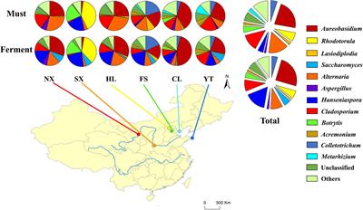 The Biogeography of Fungal Communities Across Different Chinese Wine-Producing Regions Associated With Environmental Factors and Spontaneous Fermentation Performance